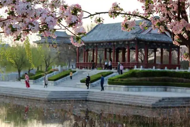 (2008年)無(wú)棣縣休閑廣場(chǎng)建筑群